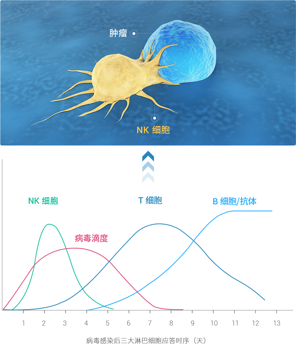 微信圖片_20241116143804.png